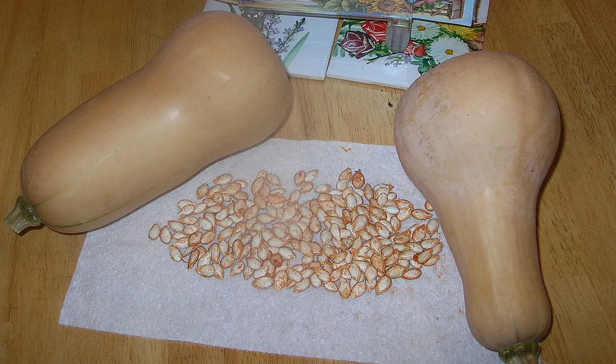 Cut squash with a pile of squash seeds
